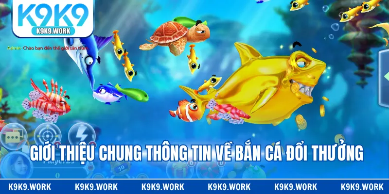 Giới thiệu chung thông tin về bắn cá đổi thưởng