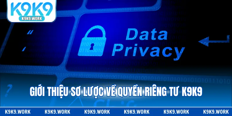 Giới thiệu sơ lược về quyền riêng tư K9K9
